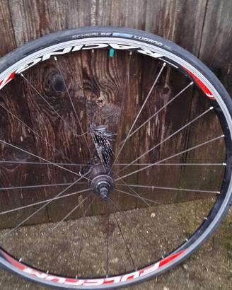 Ruota bici Schwalbe Lugano Keylar 700x23C