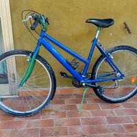 Mountain bike 24"