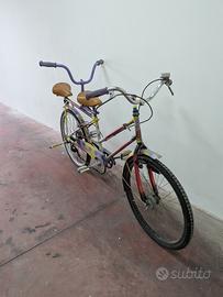 bicicletta 
