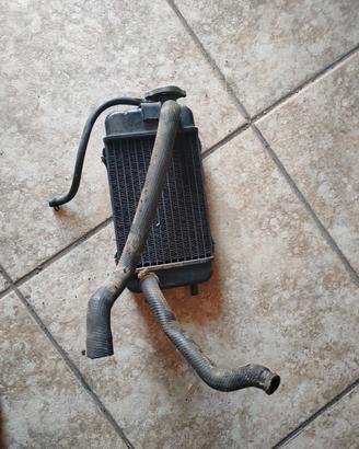 radiatore Gilera RC 50 top rally 