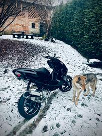 Aerox 77 leggere descrizione