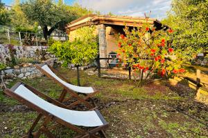 Le Casette di Nino dal 08/08 al 15/08 - 16/08
