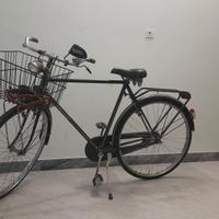 Bicicletta maschile vintage "Vicini"