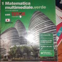libro "matematica multimediale.verde"