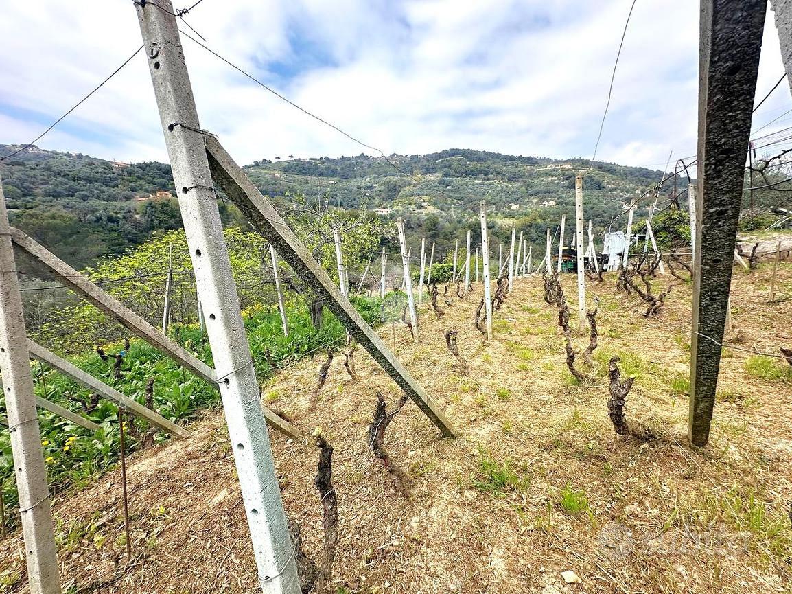 TER. AGRICOLO A VALLEBONA - Altro