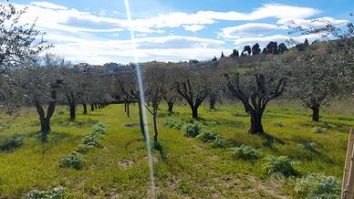 TERRENO EDIFICABILE ED AGRICOLO 
