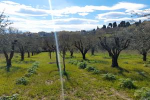 TERRENO EDIFICABILE ED AGRICOLO 