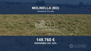Immobile in asta di 34041 m² a Molinella