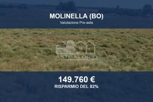 Immobile in asta di 34041 m² a Molinella