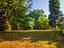 Immagine 26