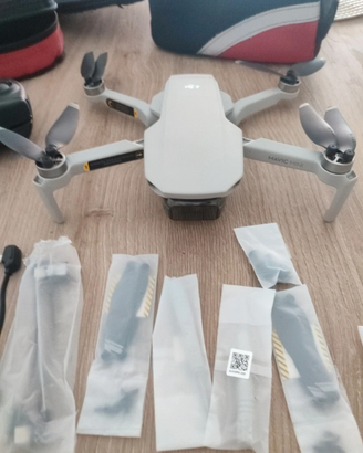 Dji mavic mini