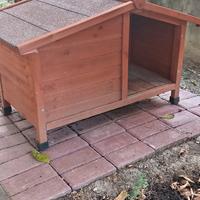 Casetta in legno cane 