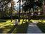 Immagine 29