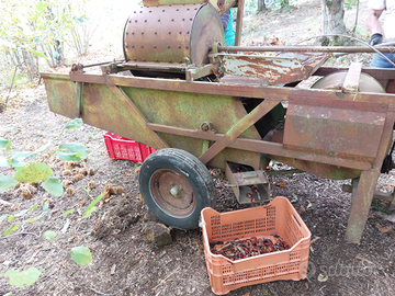 Macchina per nocciole e castagne