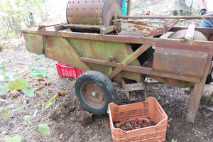 Macchina per nocciole e castagne