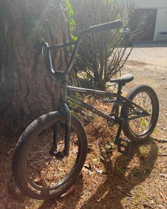 BMX gt performer 2025