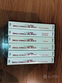 VHS La vita degli animali del bosco piccolo