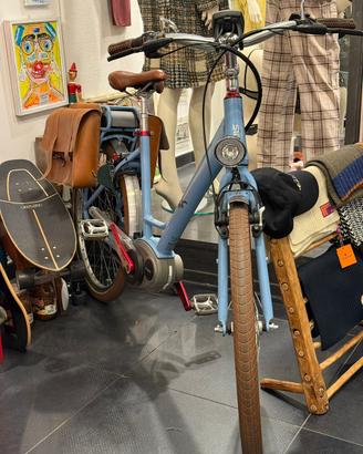 Bicicletta elettrica