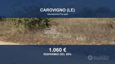 Immobile in asta di 7517 m² a Carovigno