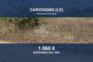 Immobile in asta di 7517 m² a Carovigno