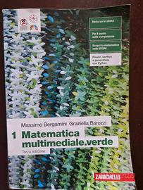 matematica 1 superiore 9788808424433