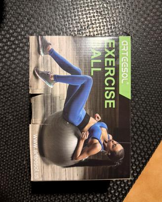 Palla da Yoga exercise ball