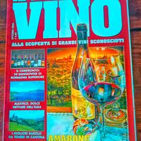 Rivista il mio vino 🍷Amarone