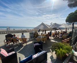 Vendita licenza bar diano marina