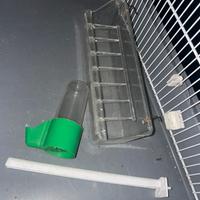 Gabbia per uccelli