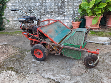 Raccogliatrice a pettini motore 4 tempi Zanetti