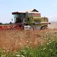 Mietitrebbia Claas Dominator 118 SL MAXI