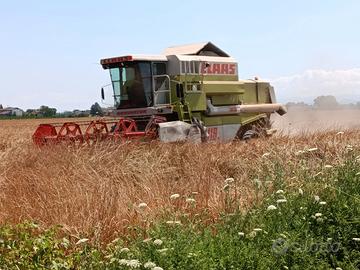 Mietitrebbia Claas Dominator 118 SL MAXI