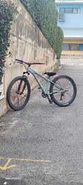 whellie bike 