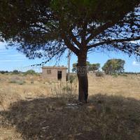 Villa da ristrutturare con ampio giardino