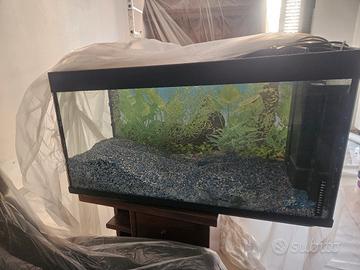 ACQUARIO 
