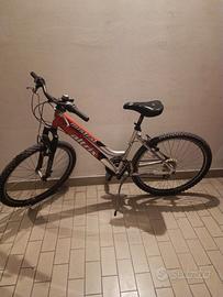 bicicletta Mountain bike femminile 