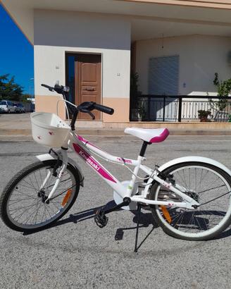 Bici ruota 20 kavasaki