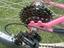 Immagine 3