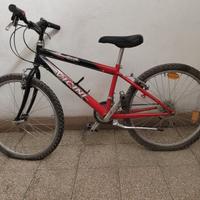 bicicletta per ragazzi