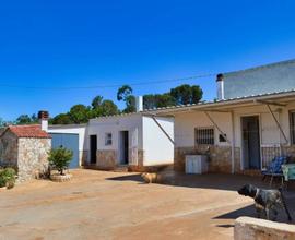 Villa a Putignano, 6 locali