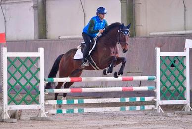 Cavallo salto primo grado 7 anni
