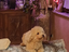 Immagine 6