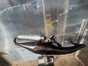 Marmitta leovinci TT