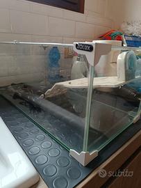 acquario per tartarughe 