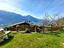 Immagine 19