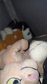 Rattina bianca e nera