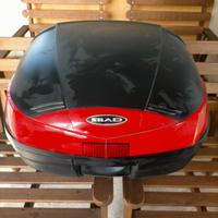 BAULETTO Shad TOP CASE  46 52 58 CARBON CON PIASTR