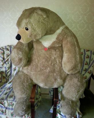 Orso in peluche Trudy