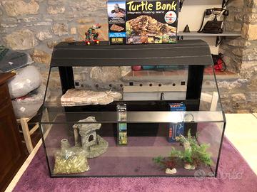 Tartarughiera in vetro