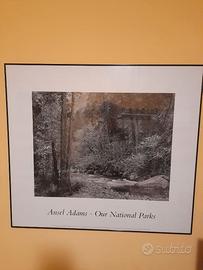 QUADRO CON POSTER DI " ANSEL ADAMS "